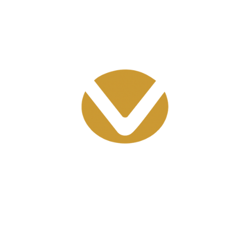 V Logo